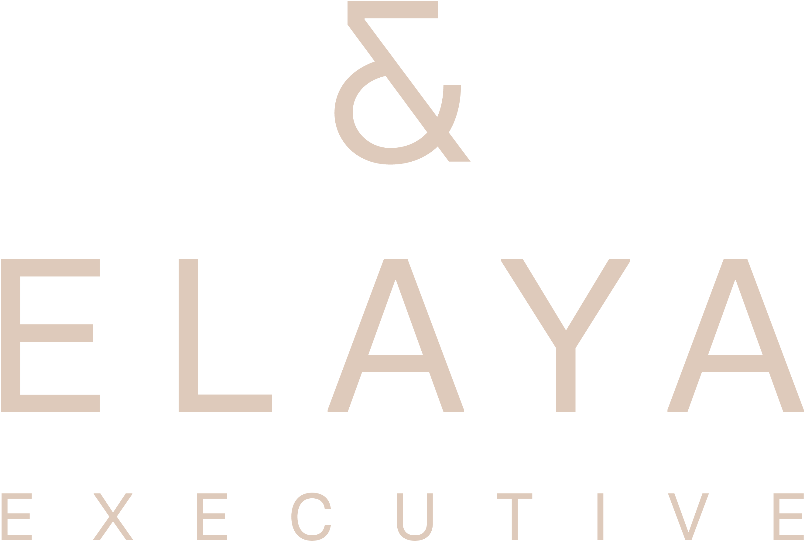 logo_2@
